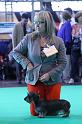 Crufts_dachshunds 667